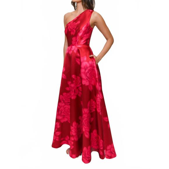 NEW HUTCH cassandra dress in red sketched rose - Picture 1 of 3